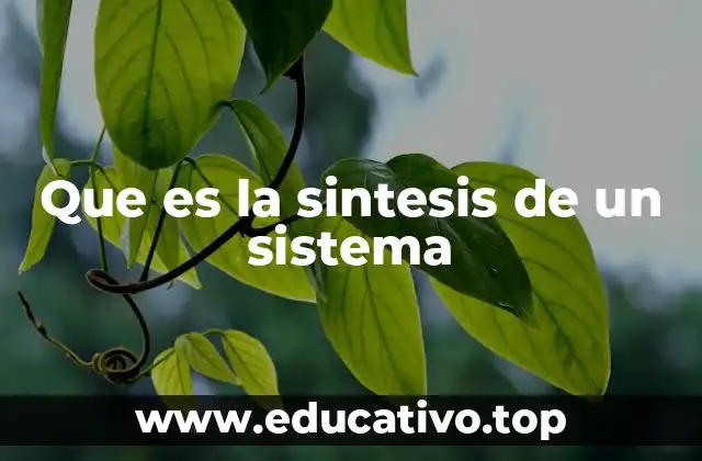 Que es la sintesis de un sistema