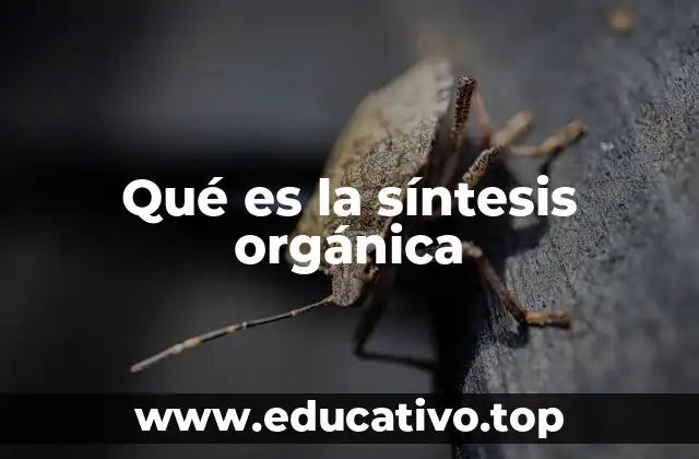 Qué es la síntesis orgánica