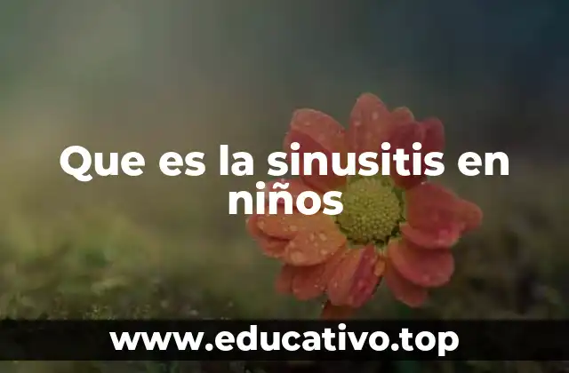 Que es la sinusitis en niños