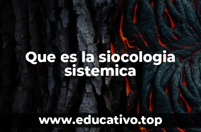 Que es la siocologia sistemica