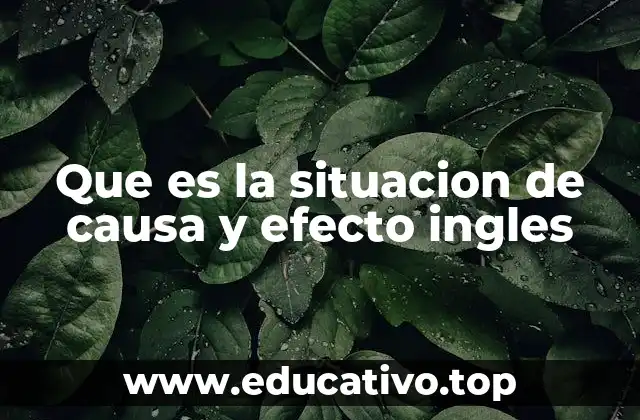 Que es la situacion de causa y efecto ingles
