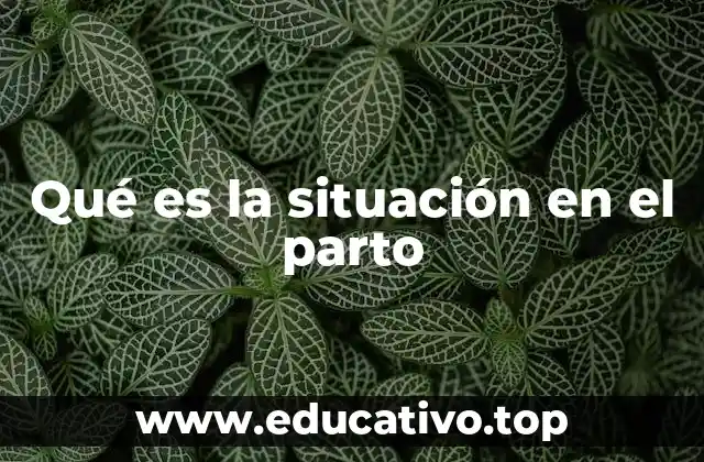 Qué es la situación en el parto