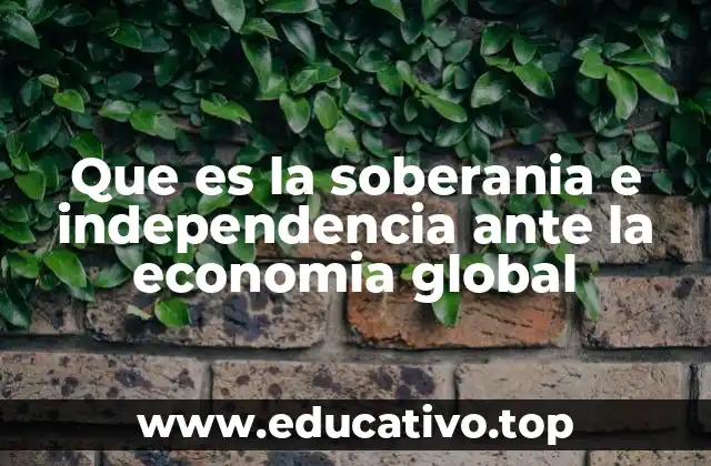 Que es la soberania e independencia ante la economia global
