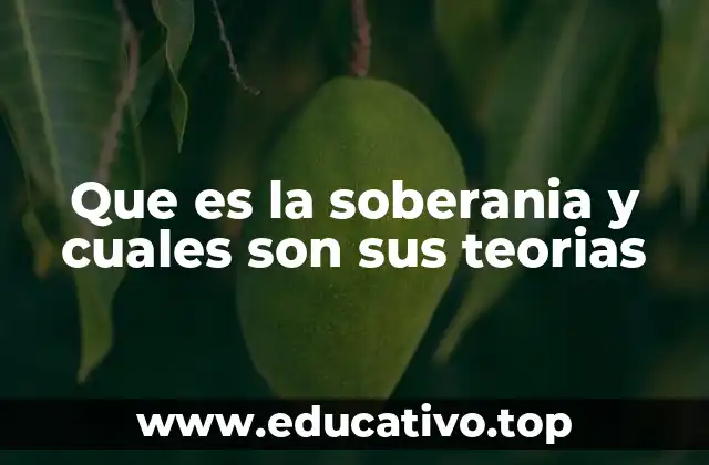 Que es la soberania y cuales son sus teorias
