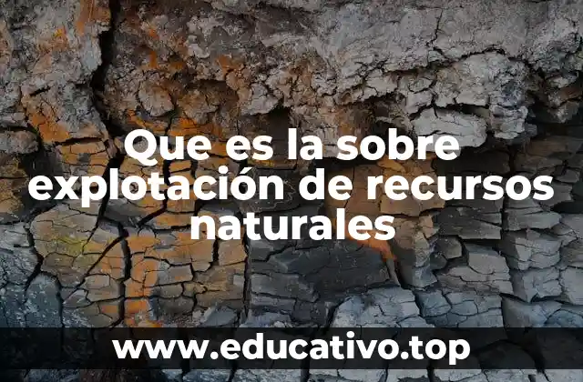 Que es la sobre explotación de recursos naturales