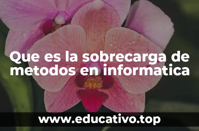 Que es la sobrecarga de metodos en informatica