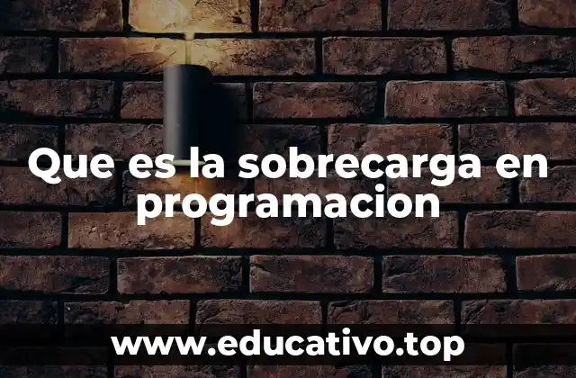 Que es la sobrecarga en programacion