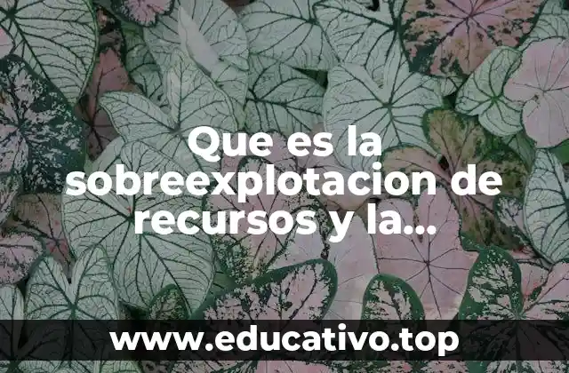 Que es la sobreexplotacion de recursos y la desertificación