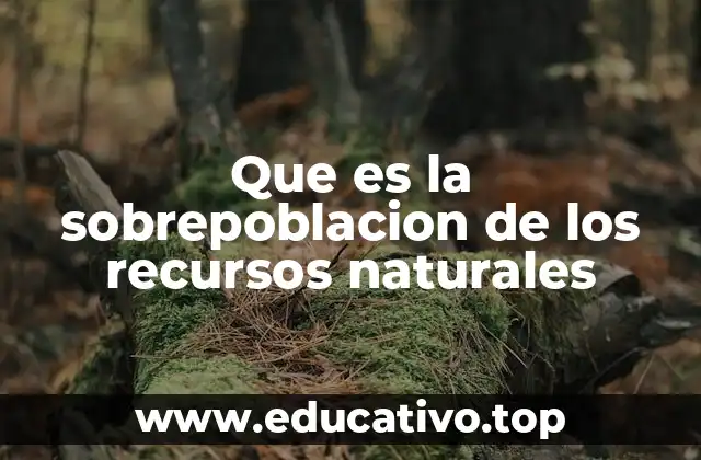 Cómo el crecimiento poblacional y el consumo afectan los recursos naturales