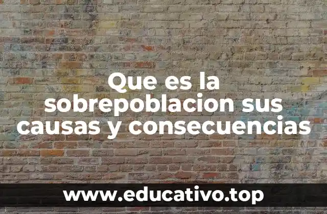 Que es la sobrepoblacion sus causas y consecuencias