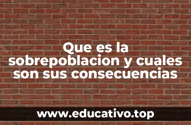 Que es la sobrepoblacion y cuales son sus consecuencias