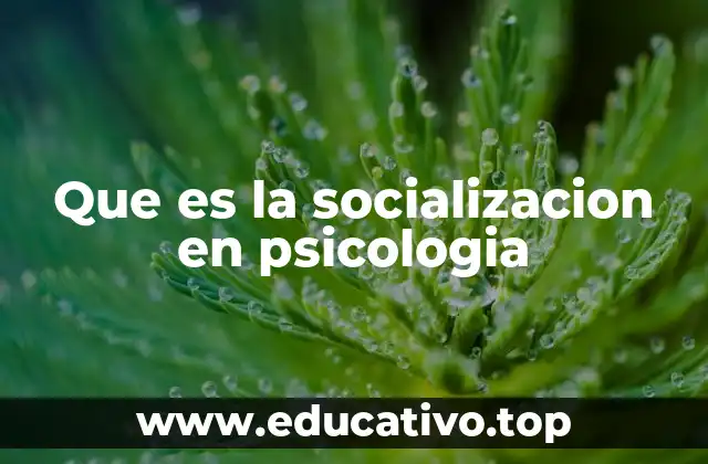 El papel de la socialización en el desarrollo humano