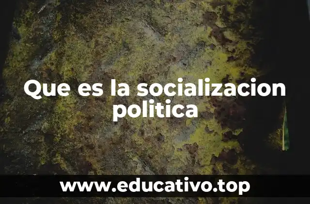Que es la socializacion politica