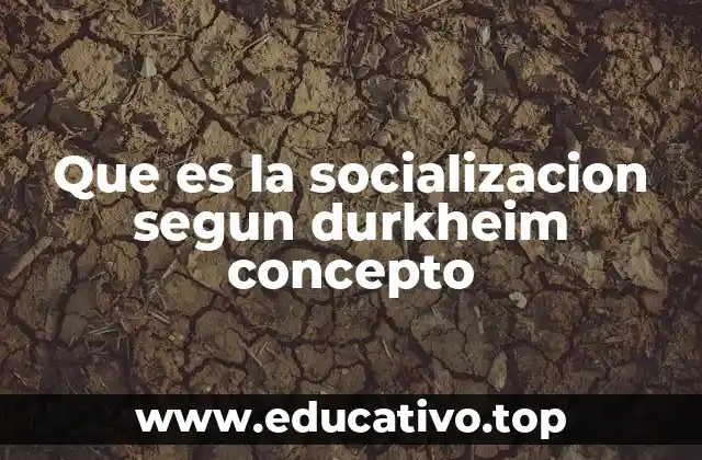 Que es la socializacion segun durkheim concepto
