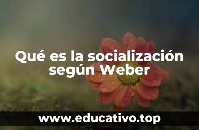 Qué es la socialización según Weber