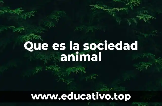Que es la sociedad animal