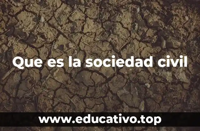 Que es la sociedad civil