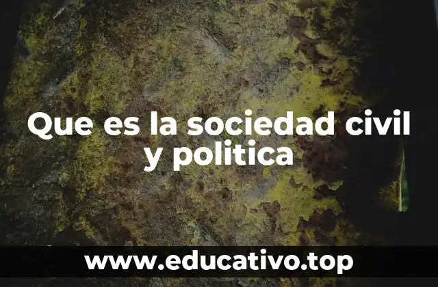 Que es la sociedad civil y politica