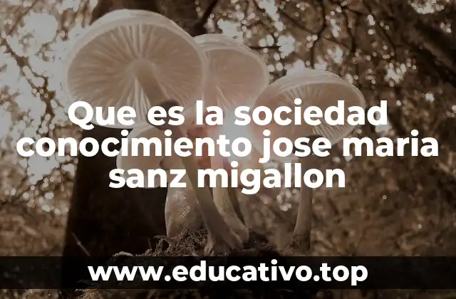 Que es la sociedad conocimiento jose maria sanz migallon
