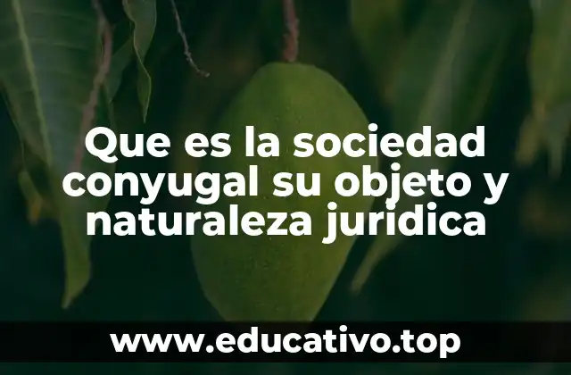 Que es la sociedad conyugal su objeto y naturaleza juridica