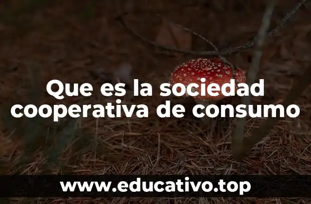 Que es la sociedad cooperativa de consumo