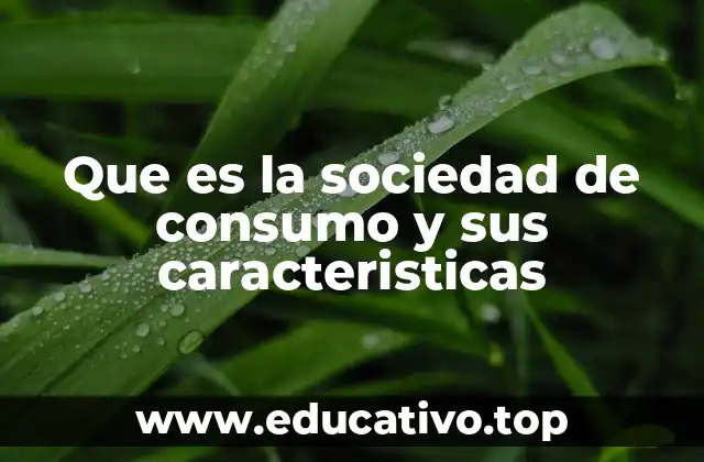 Que es la sociedad de consumo y sus caracteristicas