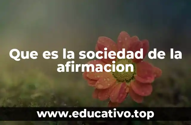 Que es la sociedad de la afirmacion