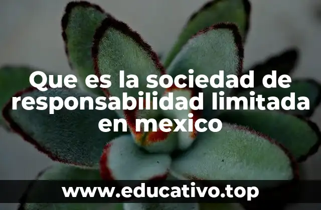 Que es la sociedad de responsabilidad limitada en mexico