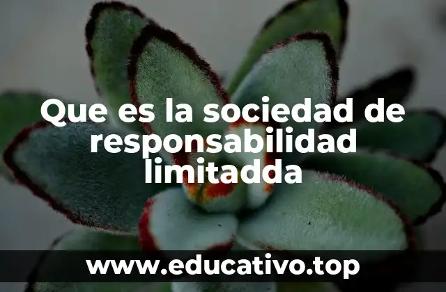Que es la sociedad de responsabilidad limitadda