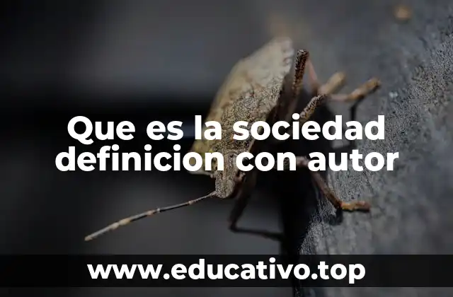 Que es la sociedad definicion con autor