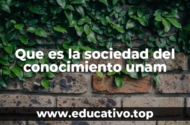 Que es la sociedad del conocimiento unam
