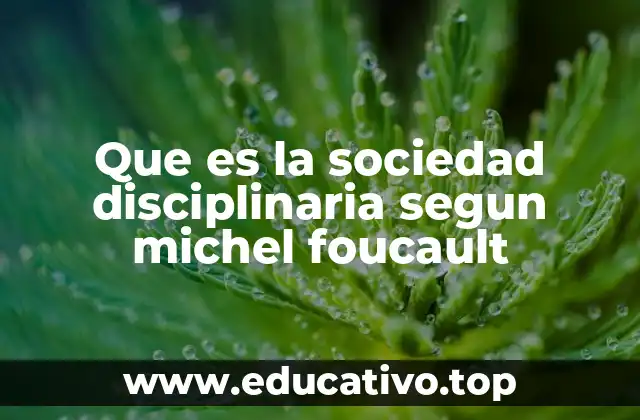 Que es la sociedad disciplinaria segun michel foucault