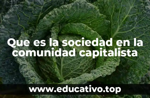Las raíces de la sociedad capitalista