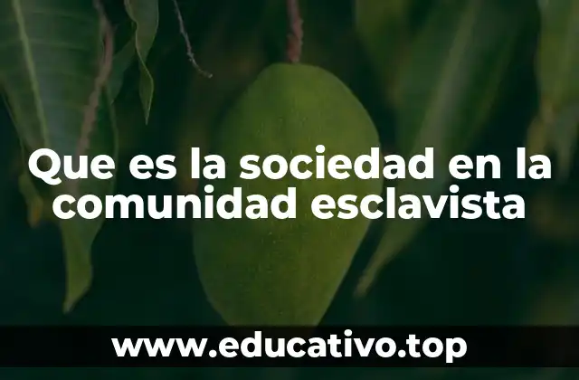 Que es la sociedad en la comunidad esclavista