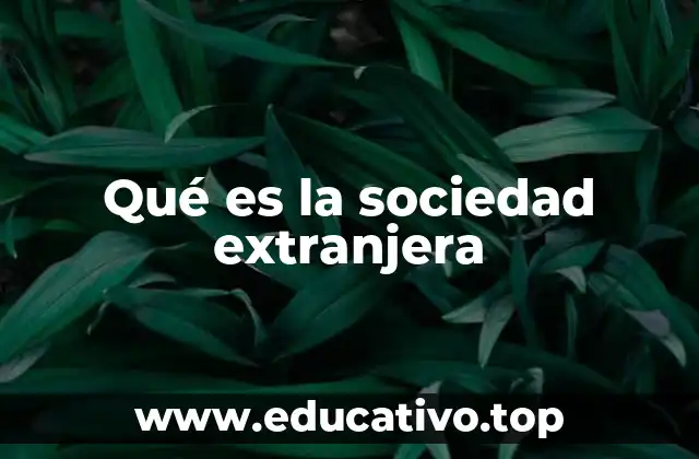 El papel de las sociedades extranjeras en la economía global