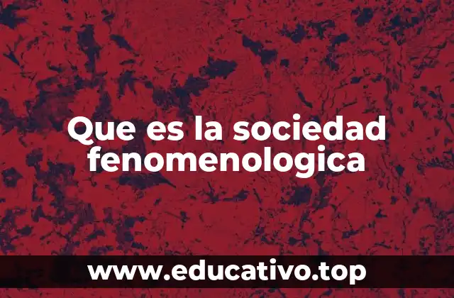 Que es la sociedad fenomenologica