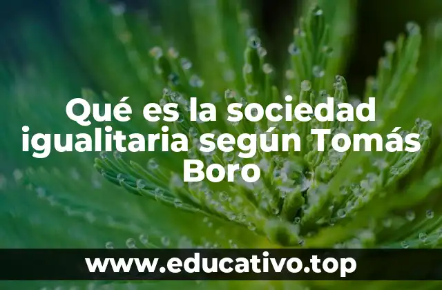 Qué es la sociedad igualitaria según Tomás Boro