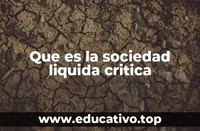 Que es la sociedad liquida critica