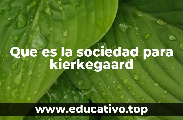 Que es la sociedad para kierkegaard