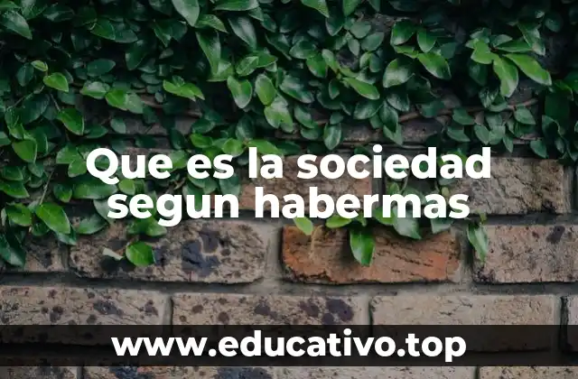 Que es la sociedad segun habermas