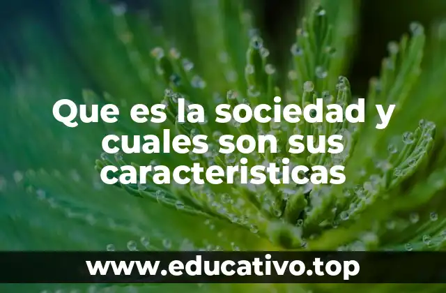 Que es la sociedad y cuales son sus caracteristicas