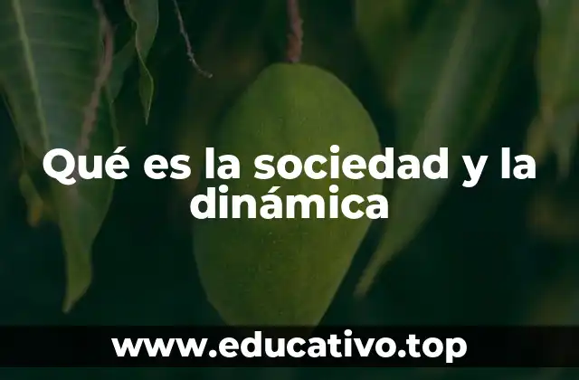 Cómo la sociedad se adapta a los cambios dinámicos