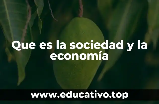 Que es la sociedad y la economía