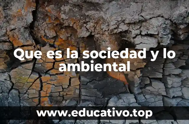 Que es la sociedad y lo ambiental