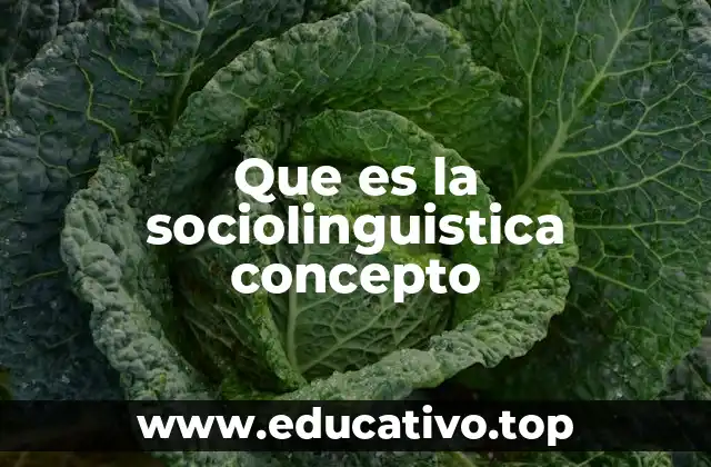 Que es la sociolinguistica concepto