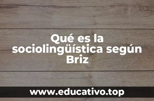 Qué es la sociolingüística según Briz