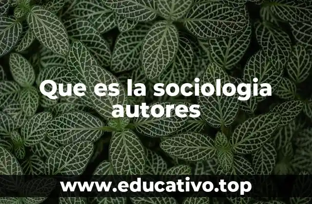 Que es la sociologia autores