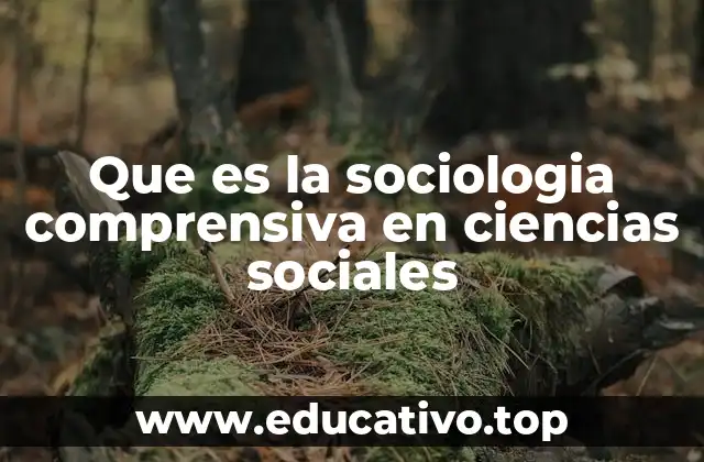 Que es la sociologia comprensiva en ciencias sociales