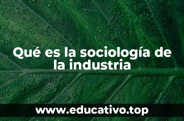 Qué es la sociología de la industria