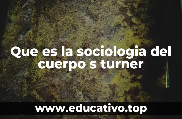 Que es la sociologia del cuerpo s turner